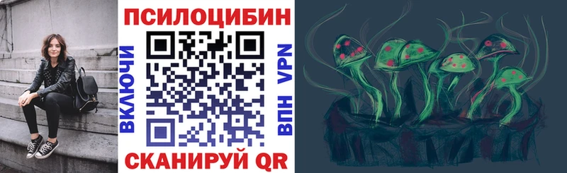 закладки  Новый Оскол  Галлюциногенные грибы Cubensis 
