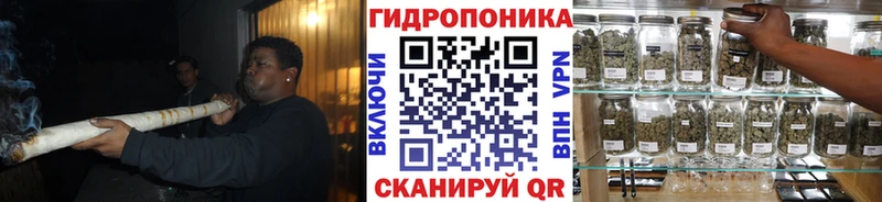 Марихуана сатива  Новый Оскол 